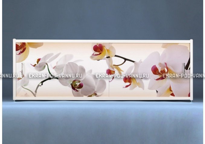 Раздвижной ФОТО экран - Orchid – купить по цене 8500 руб. в интернет-магазине в городе Липецк картинка 1