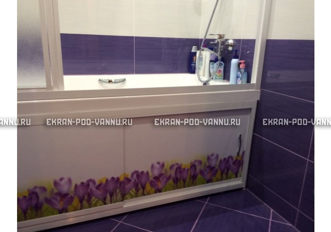 Экран на роликах EUROPLEX  Ирисы – купить по цене 12400 руб. в интернет-магазине в городе Липецк картинка 3