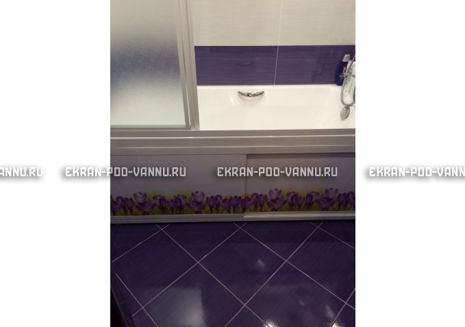 Экран на роликах EUROPLEX  Ирисы – купить по цене 12400 руб. в интернет-магазине в городе Липецк картинка 4