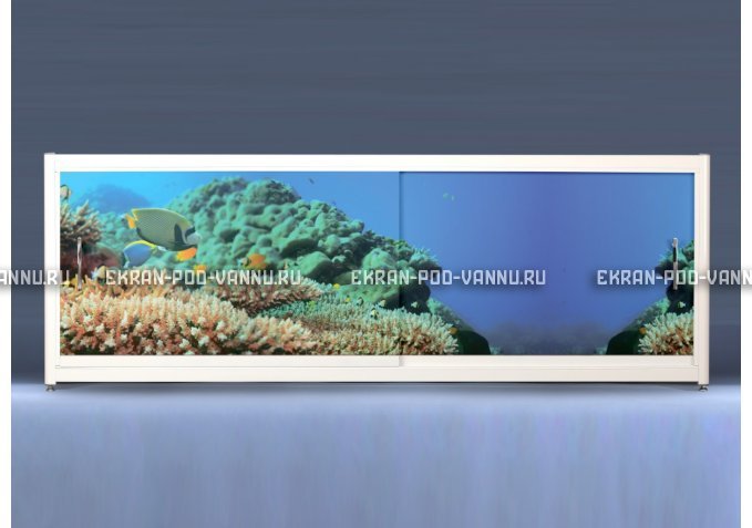 Экран на роликах EUROPLEX Коралловые рифы – купить по цене 12400 руб. в интернет-магазине в городе Липецк картинка 1